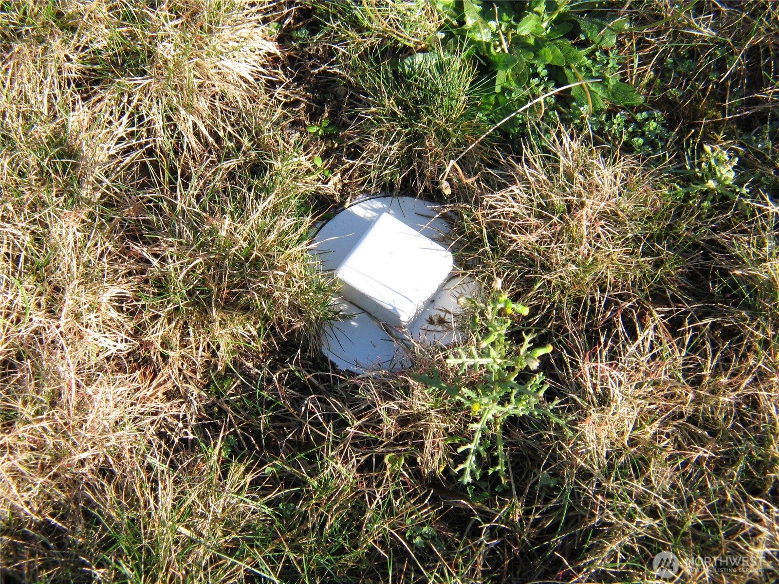 30511 I Street , Ocean Park, WA 98640