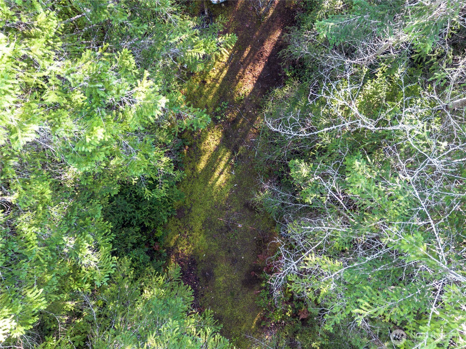 730 NE Black Bear Road , Belfair, WA 98528