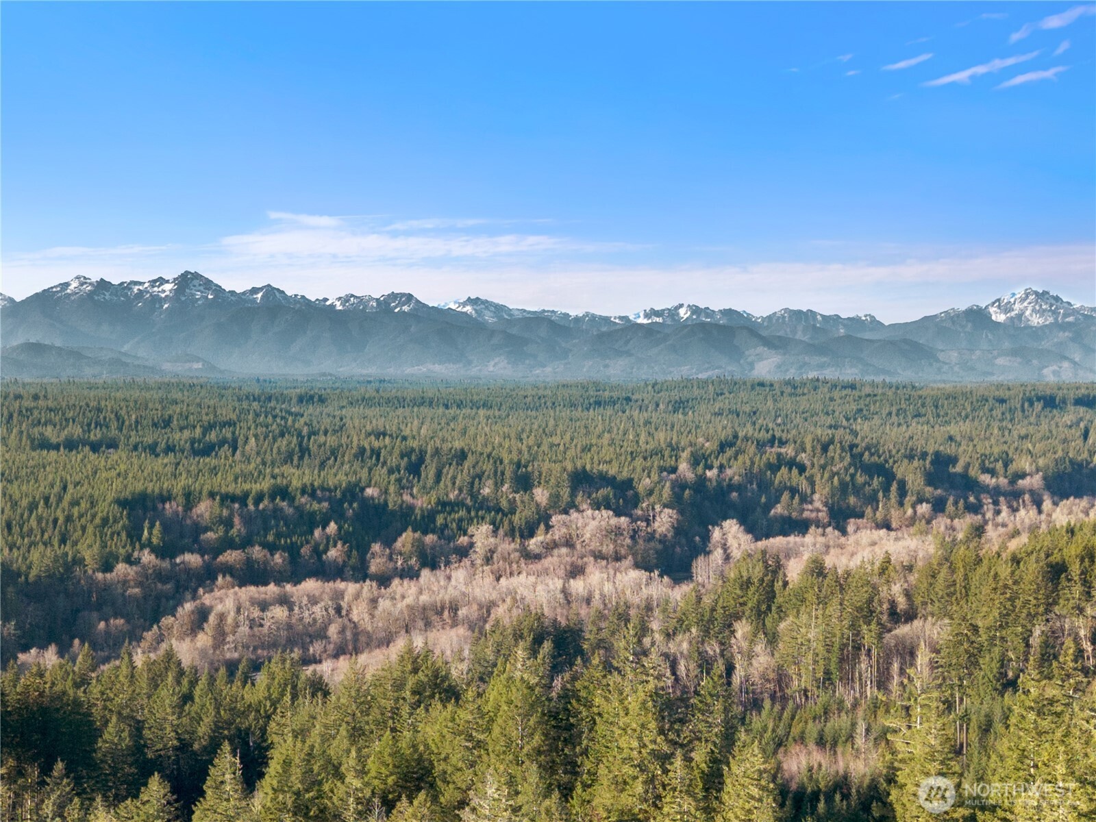 730 NE Black Bear Road , Belfair, WA 98528