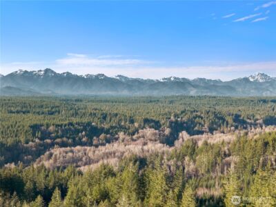 730 NE Black Bear Road , Belfair, WA 98528 - Photo 12