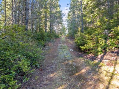730 NE Black Bear Road , Belfair, WA 98528 - Photo 2