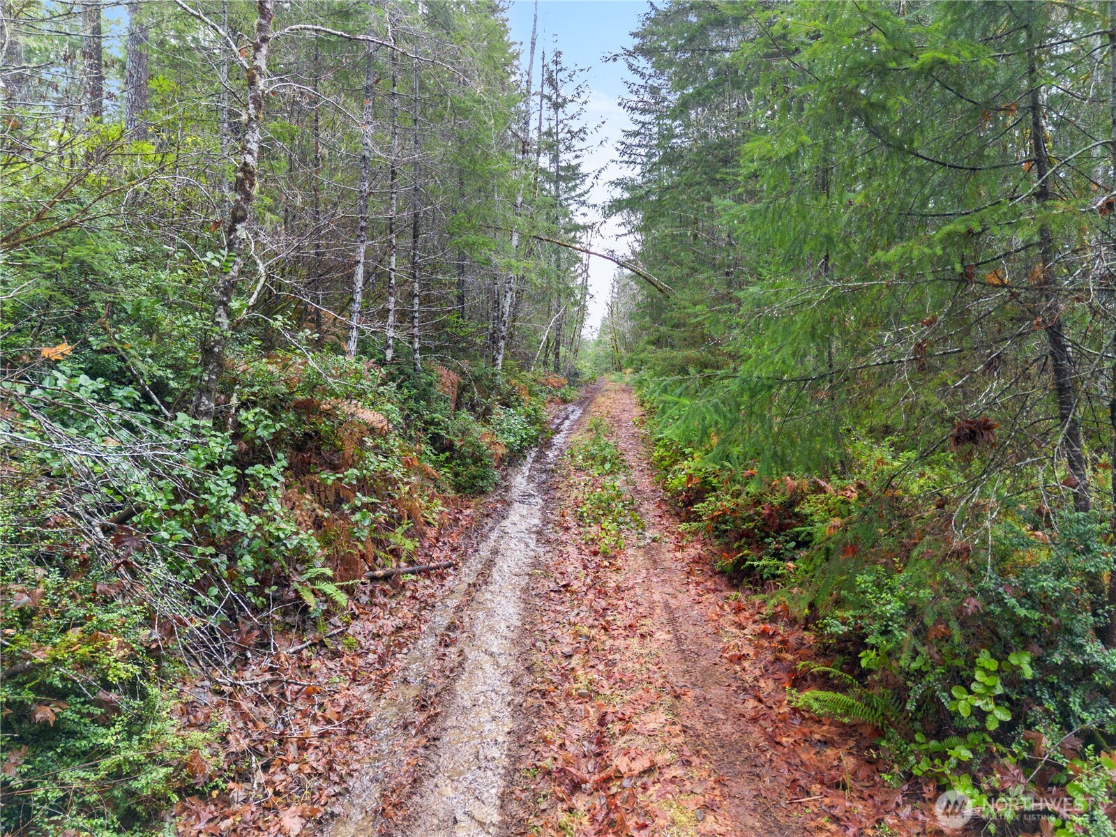 730 NE Black Bear Road , Belfair, WA 98528