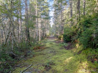730 NE Black Bear Road , Belfair, WA 98528 - Photo 4