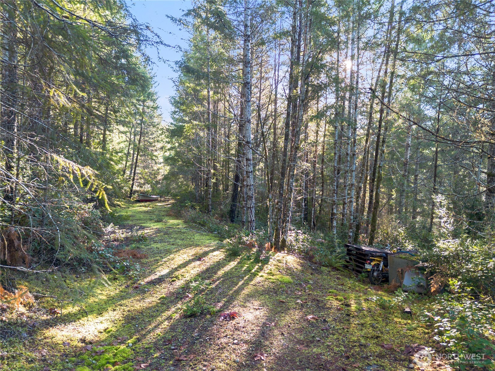 730 NE Black Bear Road , Belfair, WA 98528