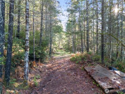 730 NE Black Bear Road , Belfair, WA 98528 - Photo 6