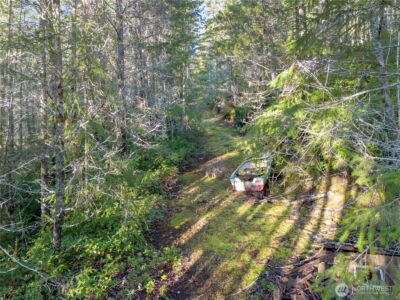 730 NE Black Bear Road , Belfair, WA 98528 - Photo 7