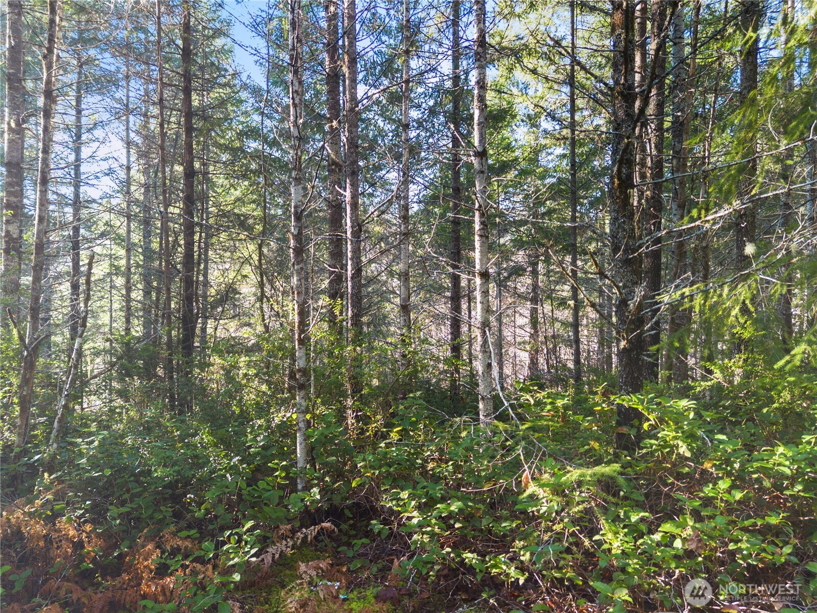 730 NE Black Bear Road , Belfair, WA 98528