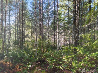 730 NE Black Bear Road , Belfair, WA 98528 - Photo 8