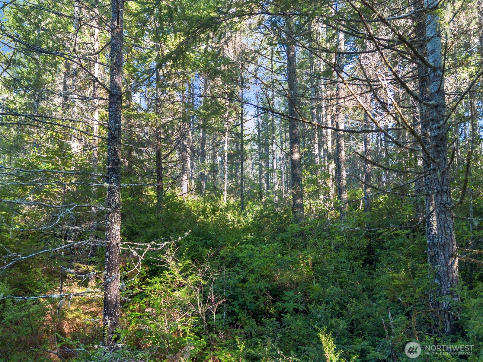 730 NE Black Bear Road , Belfair, WA 98528