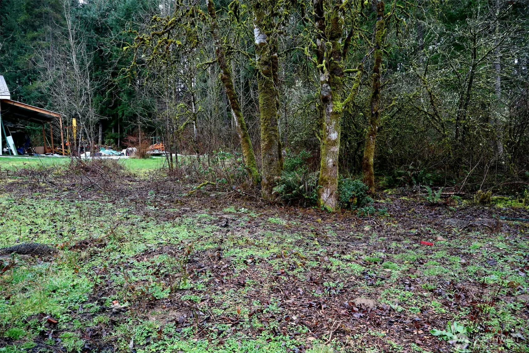 306 Minkler Rd , Winlock, WA 98596