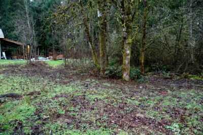 306 Minkler Rd , Winlock, WA 98596 - Photo 24