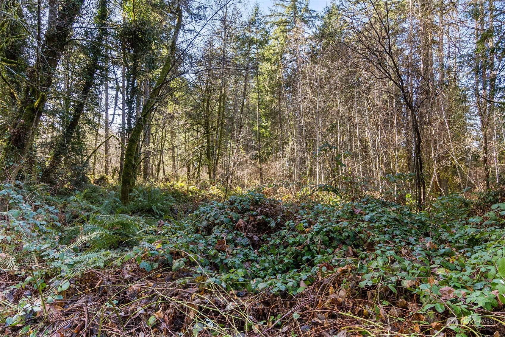 8031 Kerbaugh Road NE, Olympia, WA 98516