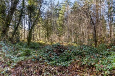 8031 Kerbaugh Road NE, Olympia, WA 98516 - Photo 18