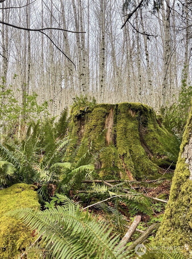 182 State Route 105 , Raymond, WA 98577