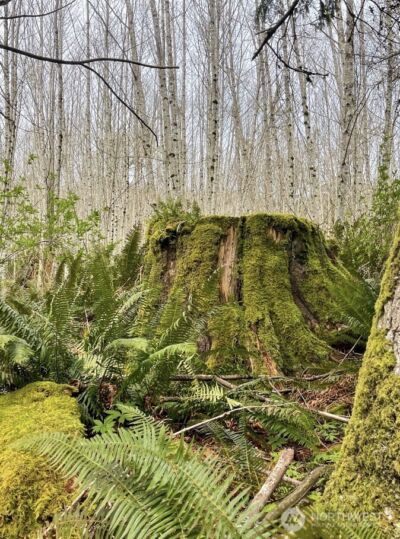 182 State Route 105 , Raymond, WA 98577 - Photo 32