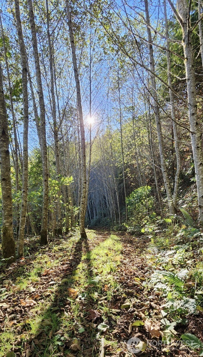 182 State Route 105 , Raymond, WA 98577