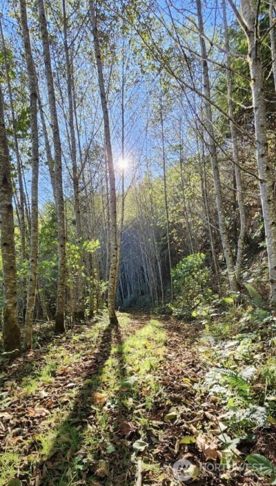 182 State Route 105 , Raymond, WA 98577 - Photo 33