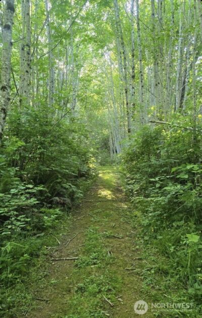 182 State Route 105 , Raymond, WA 98577 - Photo 34