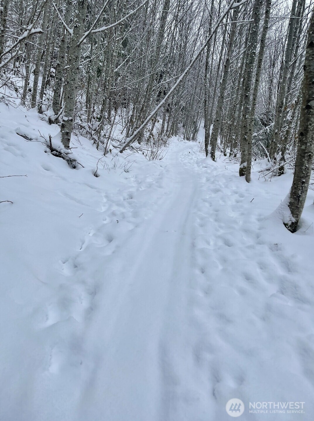 182 State Route 105 , Raymond, WA 98577