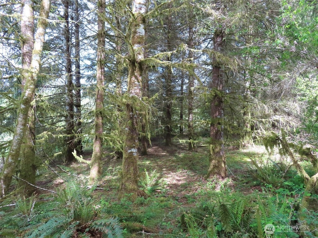 3898 State Route 6 , Chehalis, WA 98532