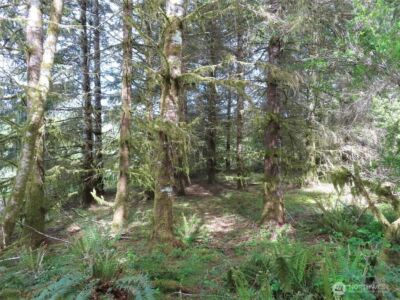 3898 State Route 6 , Chehalis, WA 98532 - Photo 12
