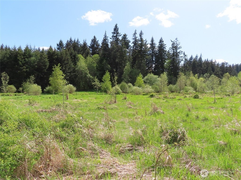 3898 State Route 6 , Chehalis, WA 98532