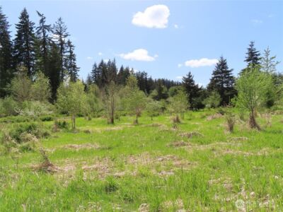 3898 State Route 6 , Chehalis, WA 98532 - Photo 17