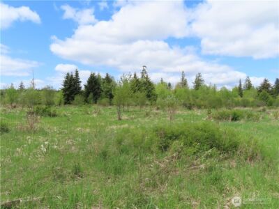 3898 State Route 6 , Chehalis, WA 98532 - Photo 19
