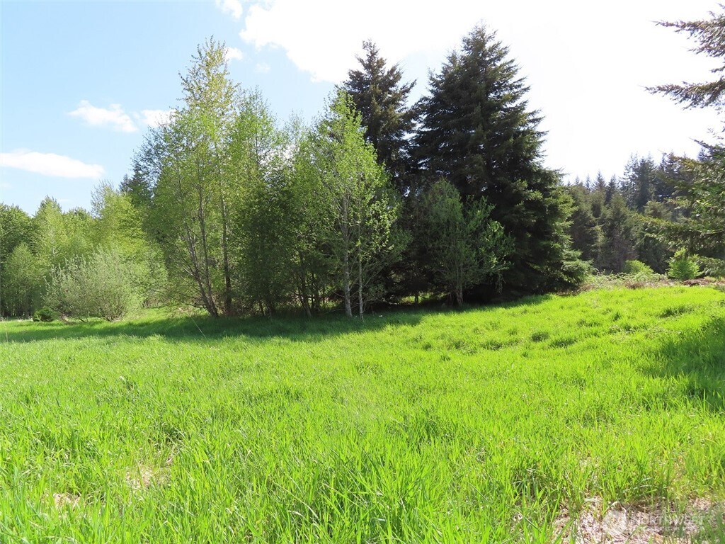 3898 State Route 6 , Chehalis, WA 98532