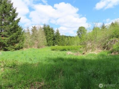 3898 State Route 6 , Chehalis, WA 98532 - Photo 21