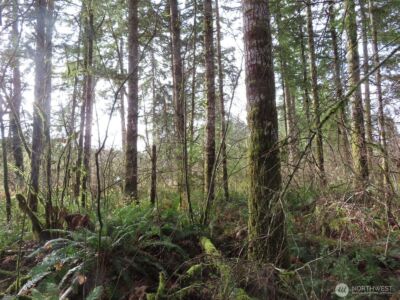 3898 State Route 6 , Chehalis, WA 98532 - Photo 22