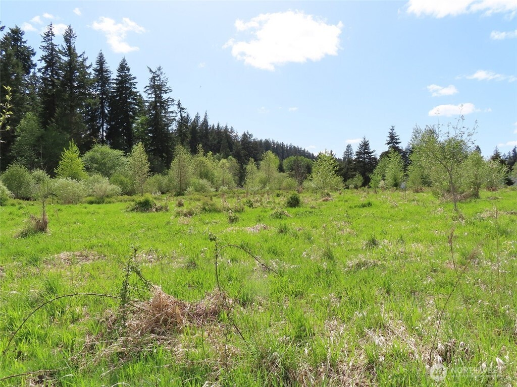 3898 State Route 6 , Chehalis, WA 98532