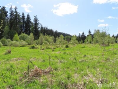 3898 State Route 6 , Chehalis, WA 98532 - Photo 23