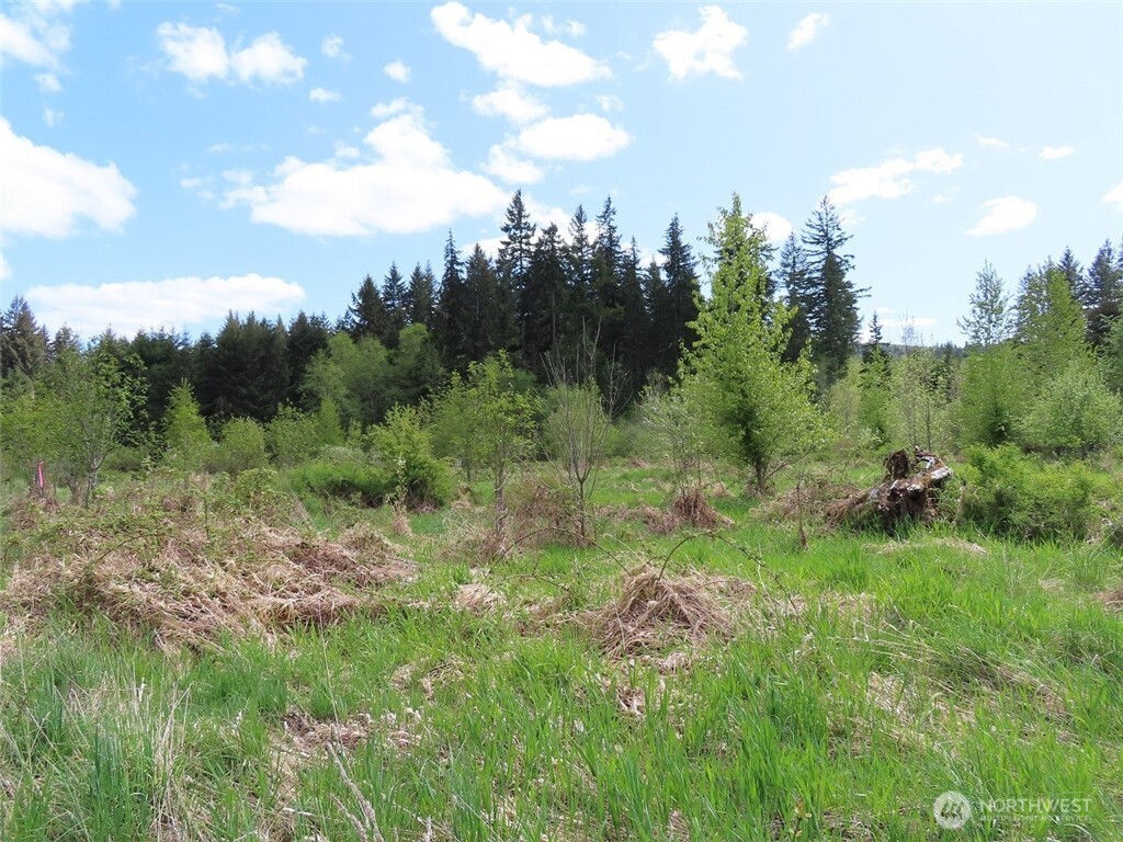 3898 State Route 6 , Chehalis, WA 98532