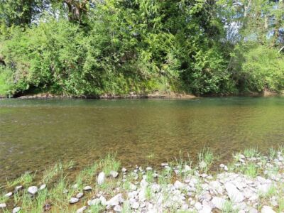 3898 State Route 6 , Chehalis, WA 98532 - Photo 27