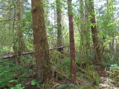 3898 State Route 6 , Chehalis, WA 98532 - Photo 29
