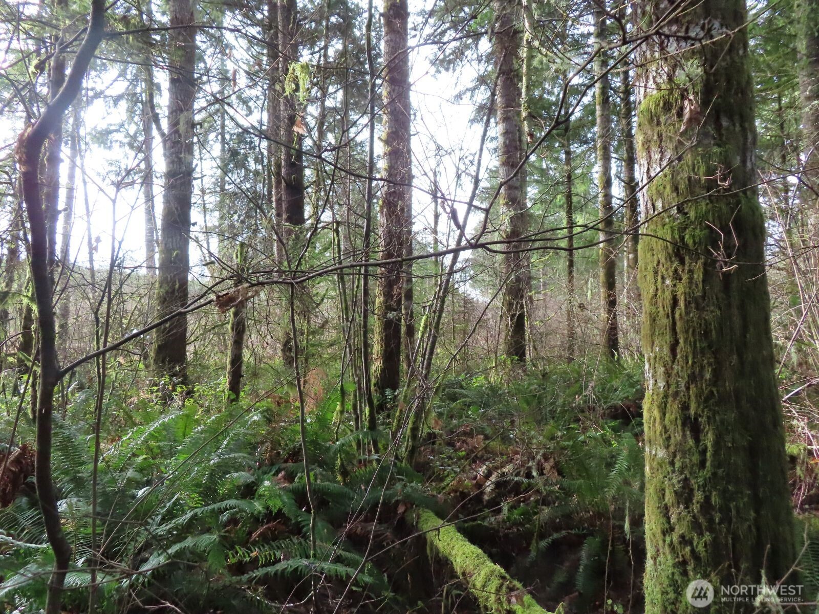 3898 State Route 6 , Chehalis, WA 98532
