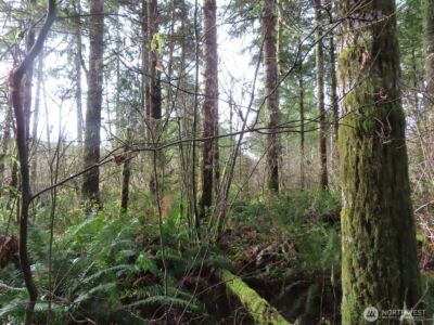 3898 State Route 6 , Chehalis, WA 98532 - Photo 30