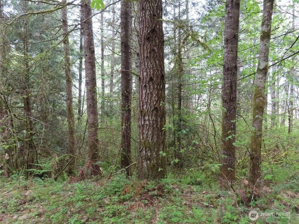3898 State Route 6 , Chehalis, WA 98532