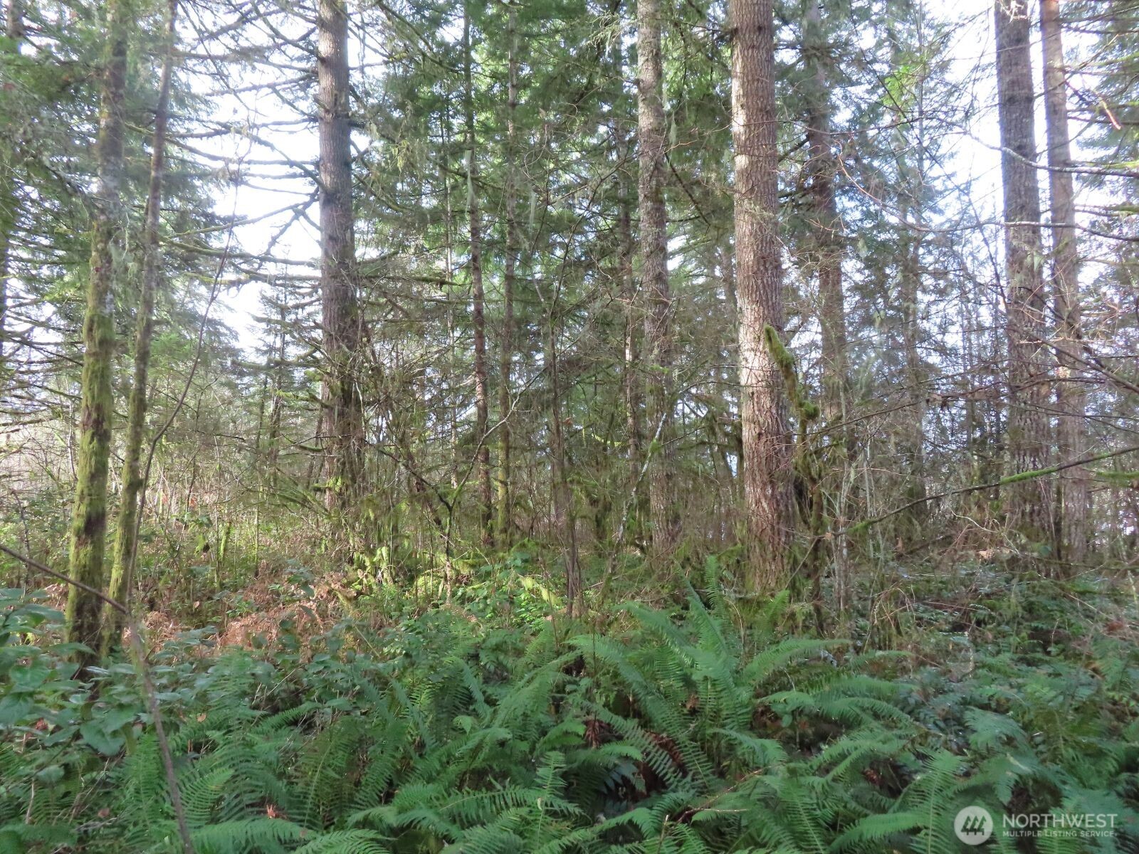 3898 State Route 6 , Chehalis, WA 98532