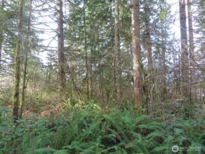 3898 State Route 6 , Chehalis, WA 98532 - Photo 31