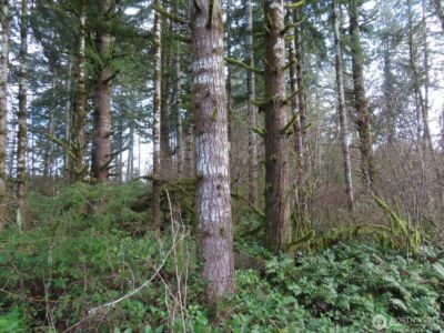 3898 State Route 6 , Chehalis, WA 98532 - Photo 32