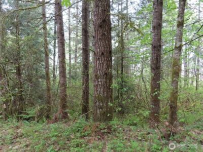 3898 State Route 6 , Chehalis, WA 98532 - Photo 4