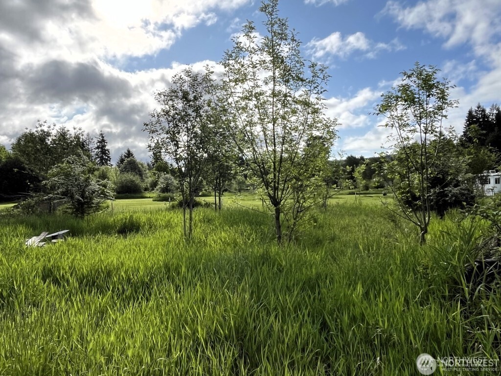 3898 State Route 6 , Chehalis, WA 98532