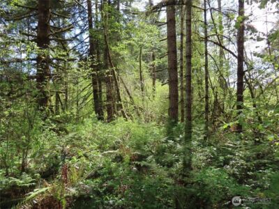 3898 State Route 6 , Chehalis, WA 98532 - Photo 9