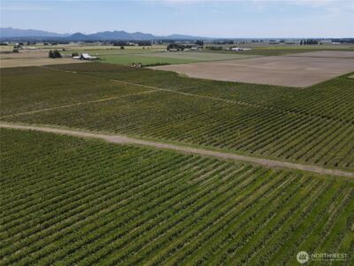0 Young Road , Mount Vernon, WA 98273 - Photo 2