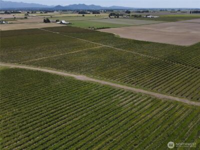 0 Young Road , Mount Vernon, WA 98273 - Photo 3
