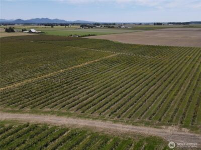 0 Young Road , Mount Vernon, WA 98273 - Photo 4