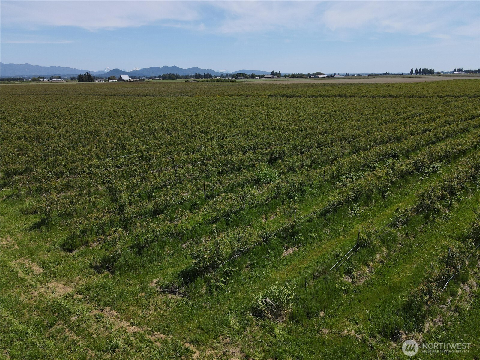 0 Young Road , Mount Vernon, WA 98273