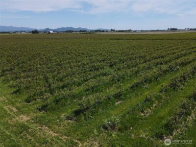 0 Young Road , Mount Vernon, WA 98273 - Photo 7
